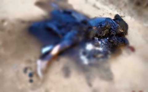 Thi thể phụ nữ cháy đen trong đống đốt phế thải