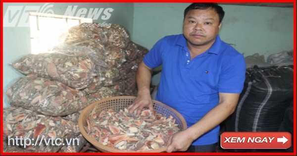 Truyền nhân thần y của vua Mèo và bài thuốc gút thần diệu