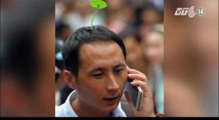 Rộ mốt đội cây giả lên đầu ở Trung Quốc