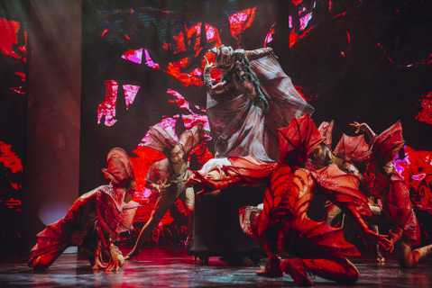 'Ionah' thu hút công chúng với những loại hình nghệ thuật đặc sắc