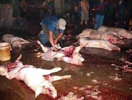 90% cơ sở giết mổ gia cầm không kiểm soát