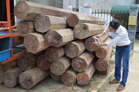 Nhà nguyên phó bí thư huyện ủy chứa gỗ lậu