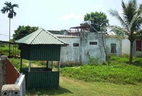 Dự án nhà máy xi măng Thanh Sơn nghìn tỷ 'chết yểu', dân nóng ruột… thả bò