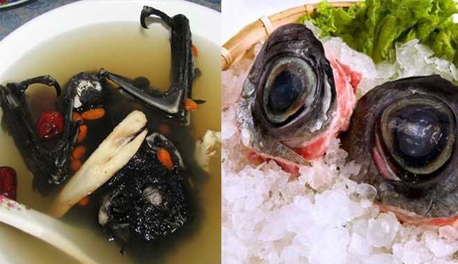 Những món ăn nhìn là muốn... xỉu trên thế giới