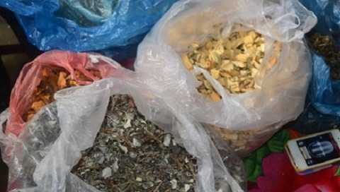 Chết bất thường sau khi uống thuốc của 'lang vườn'