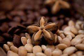 Sachi: Vua của các loại hạt gây sốt ở Việt Nam