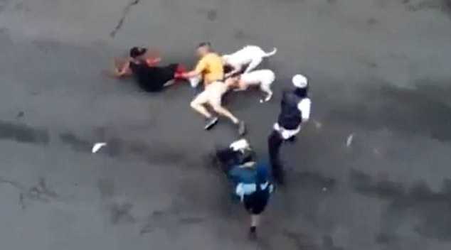 Clip: Chó pitbull kéo lê, cắn đứt tai người đàn ông trên phố