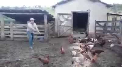 Clip: Quăng dây bắt gà theo phong cách Brazil