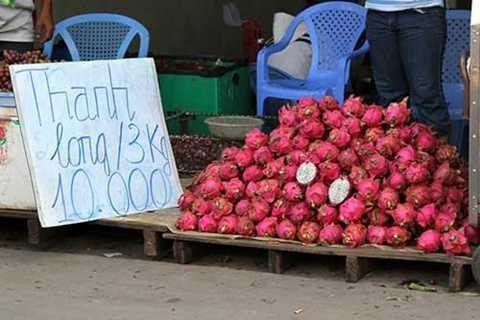 Thanh long siêu rẻ 5.000 đồng/kg bán đầy đường: Sao rẻ đến vậy?