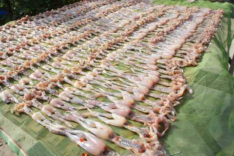 Quy trình đưa 'vũ nữ chân dài' miền Tây lên bàn nhậu