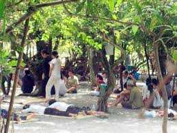 Xung quanh câu chuyện về cách chữa bệnh lạ