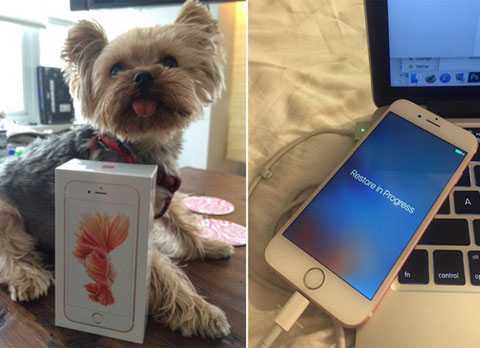 iPhone 6S vàng hồng bất ngờ đến tay người dùng sớm