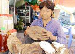 Nấm linh chi Việt thua ngay trên sân nhà