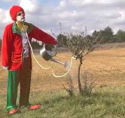 Cười té ghế clip chú hề tự vẫn