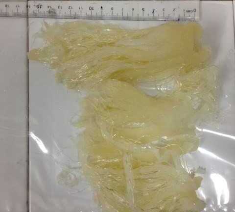 Phát hoảng vi cá mập giả khét lẹt mùi nhựa