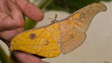 Bí mật của các loài động vật lưỡng tính