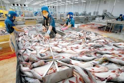 Việt Nam hưởng lợi thế nào khi qua cánh cửa hiệp định thương mại thế kỷ TPP