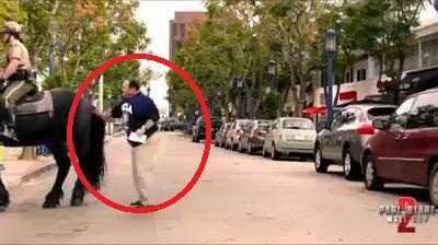 Clip: Trêu ngựa lãnh cú đá hậu như trời giáng