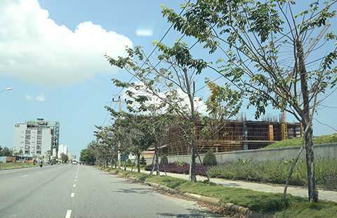 Chủ tịch Đà Nẵng yêu cầu mở biển phục vụ người dân