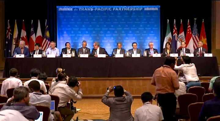 Chuyên gia kinh tế: Tham gia TPP, Việt Nam không tránh khỏi thiệt thòi