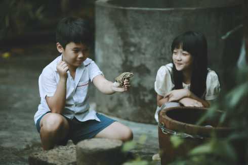 Thành viên đầu tư kêu gọi khán giả tẩy chay 'Hoa vàng trên cỏ xanh'