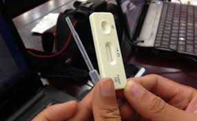 Que thử chất tạo nạc chính xác 100%