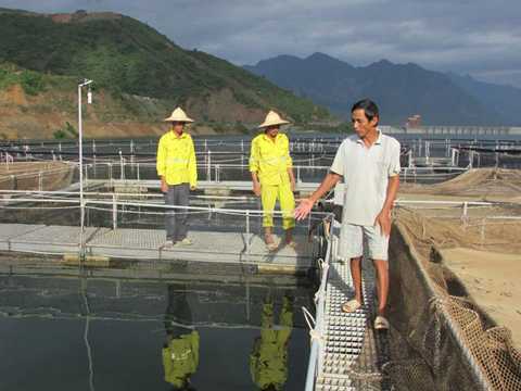 Cá tầm dài hơn 1m, to như cột nhà ở Sơn La