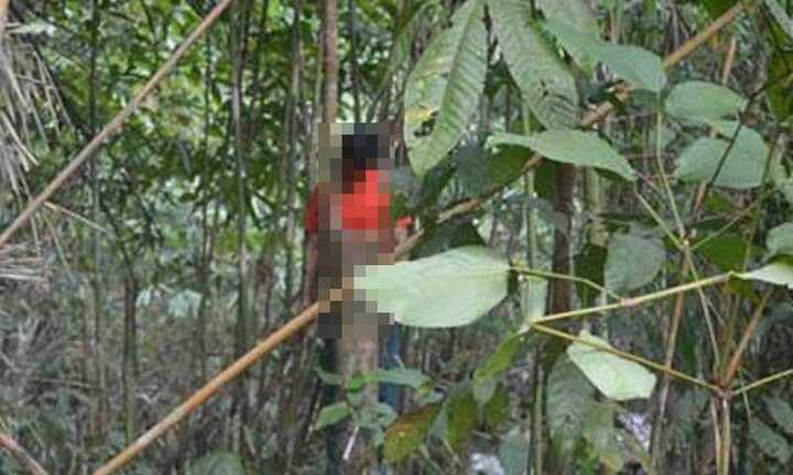 Cán bộ xã viết thư tuyệt mệnh rồi treo cổ trên đồi keo