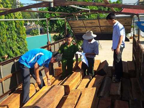 Cảnh sát kinh tế bắt xe tải chở gỗ lậu
