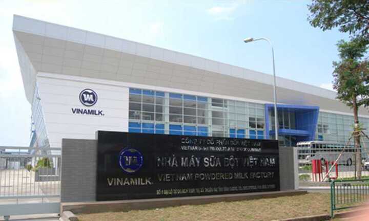 Giá trị 'con bò sữa tỷ đô' Vinamilk còn nằm ở đâu?