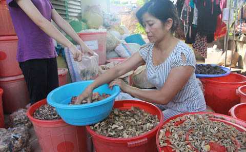 Bài thuốc đánh tan sỏi thận, cứu người suy thận của lang y người Thái