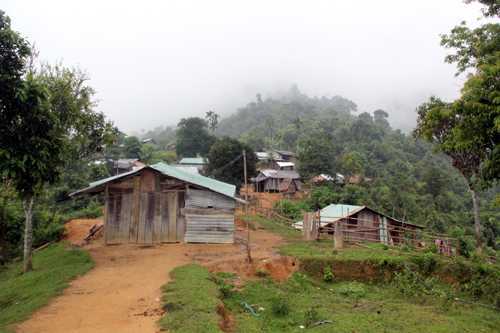 Trưởng thôn tự tử vì lợn nái đẻ toàn con đực