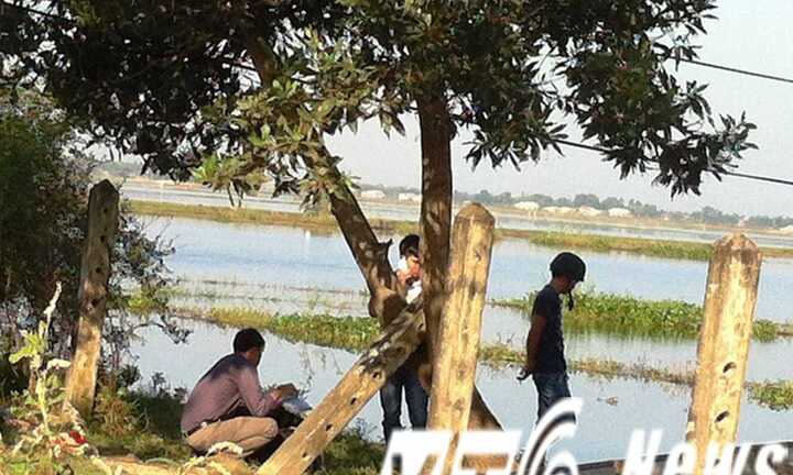 Đi làm đồng hoảng hồn phát hiện xác chết treo trên cây tràm