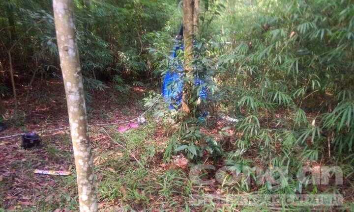 Hai mẹ con bị sát hại ở nhà trọ: Nghi can đã tự tử trong rừng