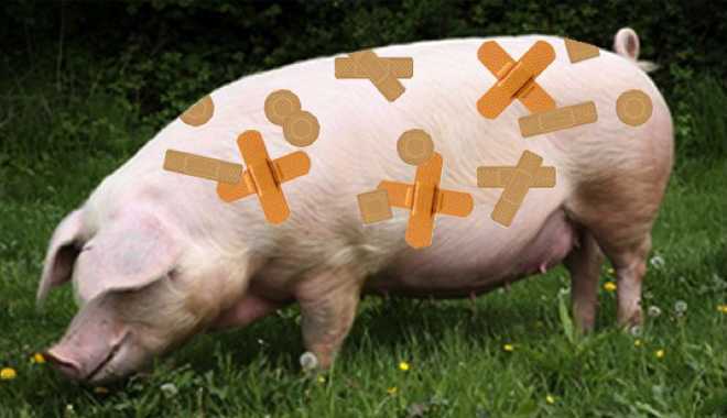 Đọc xong bài này, bạn sẽ chẳng còn 'sính' thịt nhập từ Mỹ