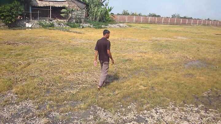 Nghi bỏ thuốc diệt cỏ phá lúa, người đàn bà bị bắt trói