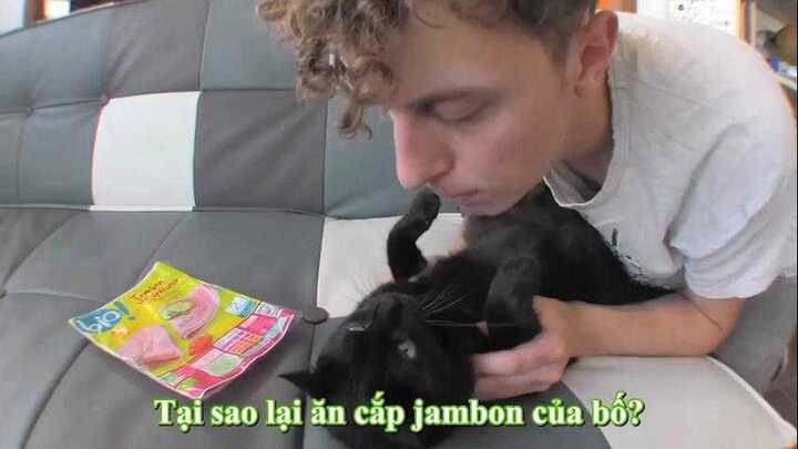 Clip: Nỗi lòng khó nói của những người nuôi mèo