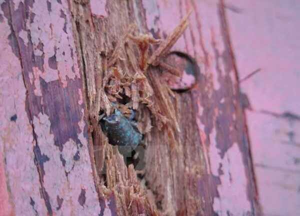 Ngư dân Việt Nam bị bắn: Người phát ngôn Bộ Ngoại giao lên tiếng