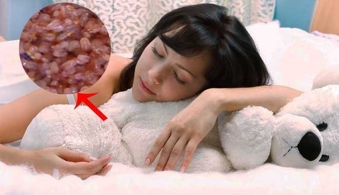 Cả đêm bạn ngủ với 10 triệu sinh vật lúc nhúc đầy giường mà không biết