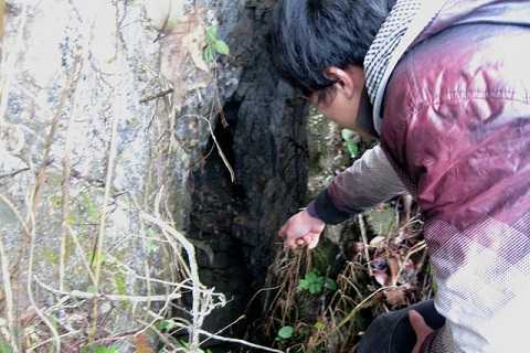 Bí ẩn hang động chôn giấu 70 thúng vàng bạc ở Cao Bằng