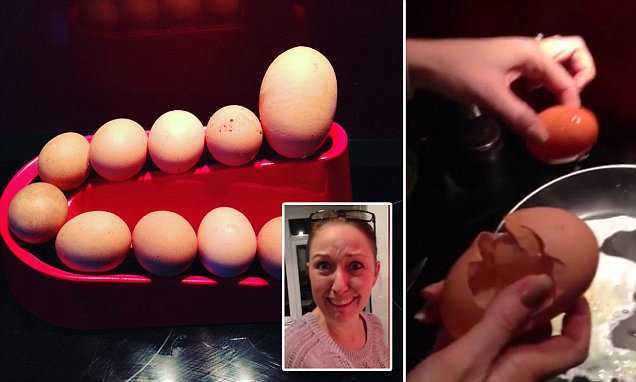 Clip: Ngỡ ngàng hiện tượng ‘trứng trong trứng’ cực hiếm gặp