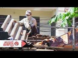 Dùng tấm lợp phibroximăng dễ mắc ung thư?