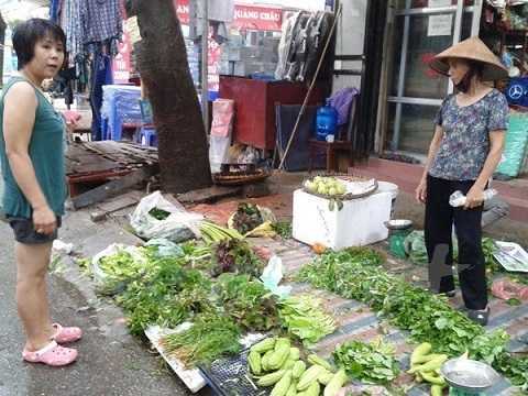 Rau muống nhiễm kim loại nặng