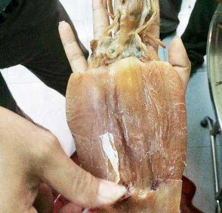 Mực giả nghi làm bằng cao su vừa bị bắt: Chỉ tiêu hủy sẽ không triệt để