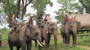 Lắc lư trên lưng voi khám phá bản Đôn