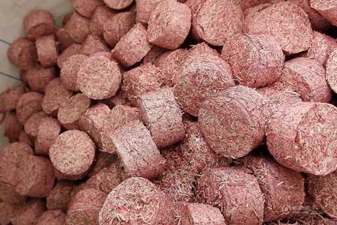 Bí mật bên trong nhà máy xử lý tiền giấy bỏ đi