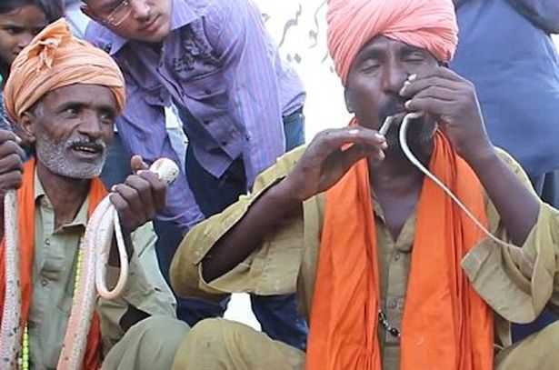 Clip: Rợn người cảnh luồn rắn độc qua lỗ mũi, ‘khạc’ ra đằng miệng