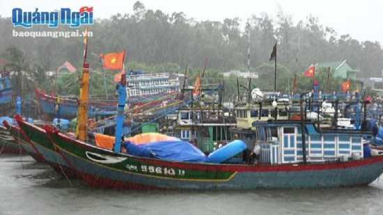 Ảnh hưỡng bão Melor, gần 100 hành khách mắc kẹt trên đảo Lý Sơn