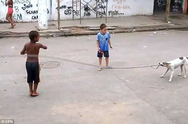 Clip: Tròn mắt xem chó chơi nhảy dây 'chuyên nghiệp'