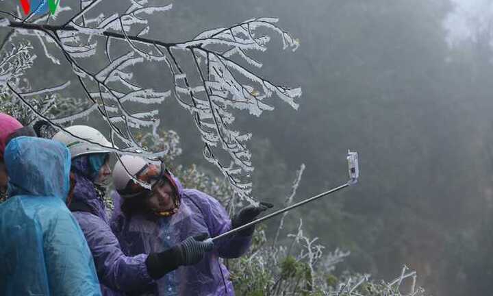 Băng giá phủ trắng Sapa, du khách thích thú chụp ảnh giữa giá rét